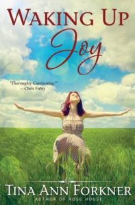 Waking Up Joy book cover